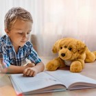 Fao Schwarz 22  Toy Plush Lying Golden Retriever Stuffed Animal