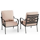 2 Piece Patio Chairs Outdoor Dining Chair Metal Chair Garden Furniture W cushion