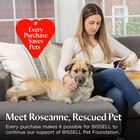 Bissell Pet Pro Oxy Spot   Stain Formula For Portable Carpet Cleaners  32 Oz   2