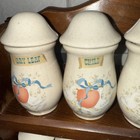 Rare Vintage Cottagecore Country Geese Goose Apple Spice Rack 12 Jars Cottage