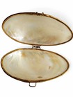 Vtg  Mother Of Pearl Clam Shell Trinket Box Trimmed In Gold Tone Metal W hinge