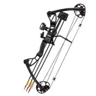 Sas Rex 25-55 Lb Quad Limb Compound Bow Package Quiver Arrows Sight - Open Box