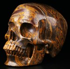 Huge 5 0  Bamboo Stone Carved Skull  Super Realistic  Crystal Healing