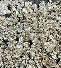 31  Grams Sterling Silver Nuggests For Your Project
