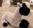 Aurora Miyoni 13    Pygmy Goat Plush Gray Black Soft Excellent Nwt