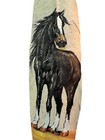 Horse    Hand Painted Feather   Arts   Crafts    Southwest Art   New   02