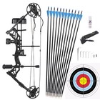 30-70lbs Compound Bow Set Archery Hunting Arrow Rh Target Shooting Adult Outdoor