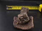 Native American Artifacts Pre 1600s Copper Hand Tool With Scrapper 