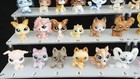 Dogs Littlest Pet Shop  Various Lps Original Hasbro  Vintage Authentic