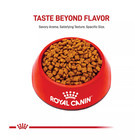 Royal Canin Feline Health Nutrition Kitten Dry Cat Food 14 Lb Bag