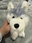 Webkinz Husky 1st Edition New With Tag  Unused Code Hm120