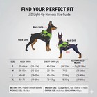 Pet Led Light Up Reflective Nylon Dog Harness No Pull   Anti-choke Vest