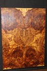 Amboyna Burl Book Matched Guitar Top   Personal Stash  Stunning Set 