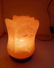 Himalayan Salt Rose Flower Shape Lamp  Salt Ionizer  Dimmer Switch  Decor