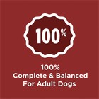 2 Pack Purina Dog Chow Complete Adult Dry Dog Food For Dogs  Kibble Beef Flavor