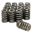 Ls6 Beehive Performance Springs 12499224 Valve Spring Kit Set 4 8 5 3 6 0 6 2