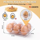 200pcs Clear Plastic Egg Cartons 6 Count half Dozen Egg Cartons Cheap Bulk Fo   