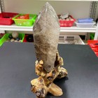 All 11 2lb Natural Smoky Quartz Obelisk Crystal Wand Point Healing G6115