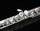 Glory Silver Plated Intermediate 17keys  Open closed Hole C Flute With B Foot   