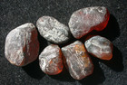 Nice Group Of Rough Burmese Burmite Amber Fossil Stones From Dinosaur Age 21 9 G