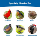 Wild Bird Gourmet Seed Cake For Cardinals  Chickadees  Juncos  Titmice  Woodpeck
