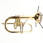 C g  Conn Model 1fg  vintage One  Professional Flugelhorn Sn 639340 Excellent