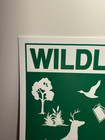 Vintage Us Forest Service Wildlife Study Area Do Not Disturb 1989 13 5    X 8   