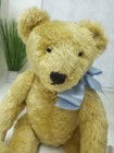 Antique Steiff 1920s Gold Mohair Bear long F Button 16  Tall outstanding Cond