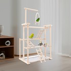 Pet Parrot Playstand Parrots Bird Playground Bird Play Stand Wood Perch Gym Play