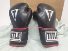 Title Boxing Gloves 14oz  hit It Hard  Genuine Leather 