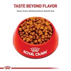 Royal Canin Breed Health Nutrition Yorkshire Terrier Adult Dry Dog Food  10 Lbs
