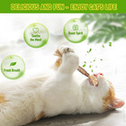5pc Natural Silvervine Sticks Cat Toys Matatabi Catnip Chew Teeth Cleaning 5pk