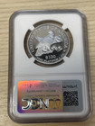 2003  100 Proof Platinum Eagle Ngc Pf 70  