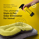 Pet Stain   Odor Eliminator Spray  16 Oz  Pack Of 1      Enzyme Cleaner Spray F   