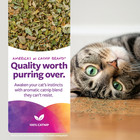 Organic Catnip For Cats  100  Certified Organic   Natural  Pure   Potent  Reseal