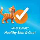 2 Bags Purina Kit And Kaboodle Original Dry Cat Food For Adult Cats  30 Lb Bag