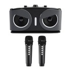 Wireless Bluetooth Speaker Home Theater Dual Microphone Karaoke All-in-one Audio
