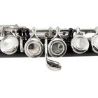  New 16 Hole C Key Flute With Portable Case Closed Hole Nickel Black