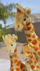 3 Vintage 50s  Steiff Giraffe Mohair Ear Buttons Original Owner Beautiful Set 3