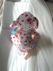 Webkinz Love Puppy  Hm131 New Unused Sealed Code