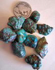 Royston Nv  Turquoise 10 Gorgeous Sea Foam Nuggets   Pieces 31 3 Grams  Offers  