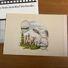 Kind Stitchworks Mount St  Helens Washington Stitch Shots Pattern Chart