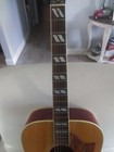 1970s Vintage Aria Dove Custom Pw-35 Acoustic Guitar   old Case Included 