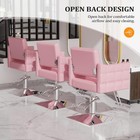 Modern Hydraulic Barber Chair Salon Beauty Spa Tattoo Hair Styling Equipment