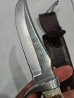 Puma Knife 6393 Handmade Bone Horn Bowie Germany Leather Sheath Unused Engraved