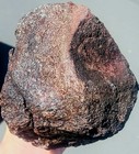 Utah Dinosaur Gembone   9 Pounds   6  X 6  X 5    Shown Wet