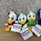 The Disney Store 8  Bean Bag Plush Donald  Daisy  Louie  Huey    Dewey Lot Of 5