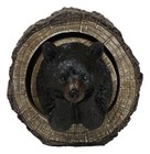 Daydreaming Black Bear In Tree Log Home Decorative Jewelry Trinket Box Figurine
