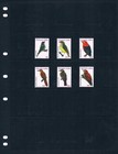 2 3 Off  18 50 Scott Value - 2010 Netherlands Antilles Bird Caribbean Mnh Nh Umm