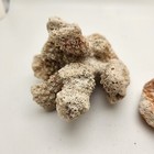 Coral Lot Of 2 Pieces Nautical Natural Ocean Sea Aquarium